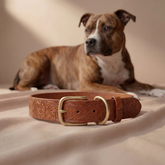 Lederhalsband Cognac – Breit