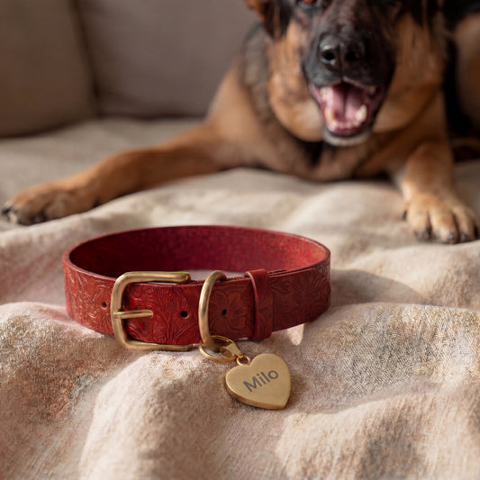 Set Rot Breit – Halsband & Anhänger